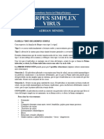 Herpes Virus y Otros Virus 2024