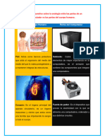 Afiche-Cuadro Comparativo Sobre La Analogía Del Computador Vs El Cuerpo Humano
