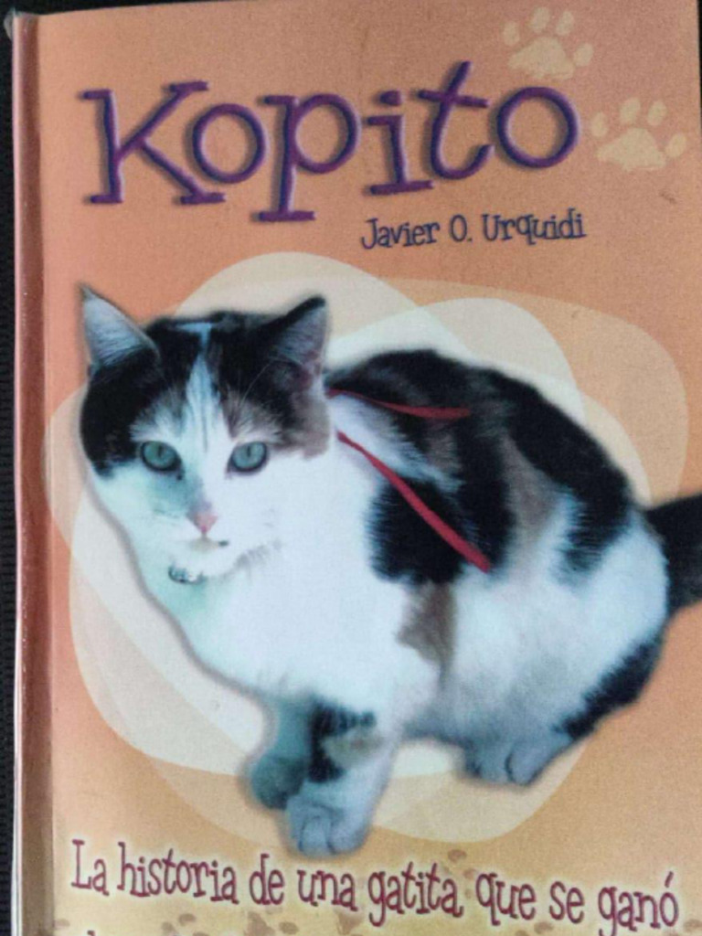 Kopito Lectura Guiada | PDF