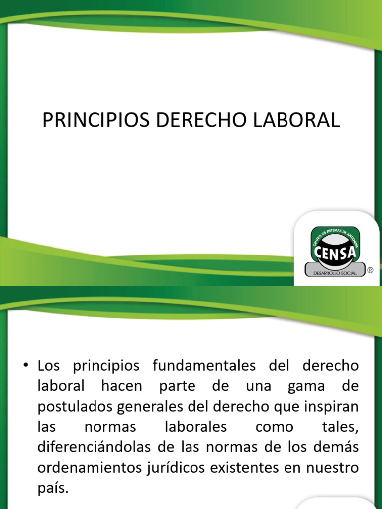 Principios Fundamentales del Derecho Laboral | PDF | Derecho laboral ...