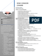 CVRENEPDF (2)