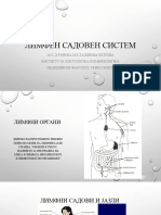 ЛИМФЕН САДОВЕН СИСТЕМ (Ф)