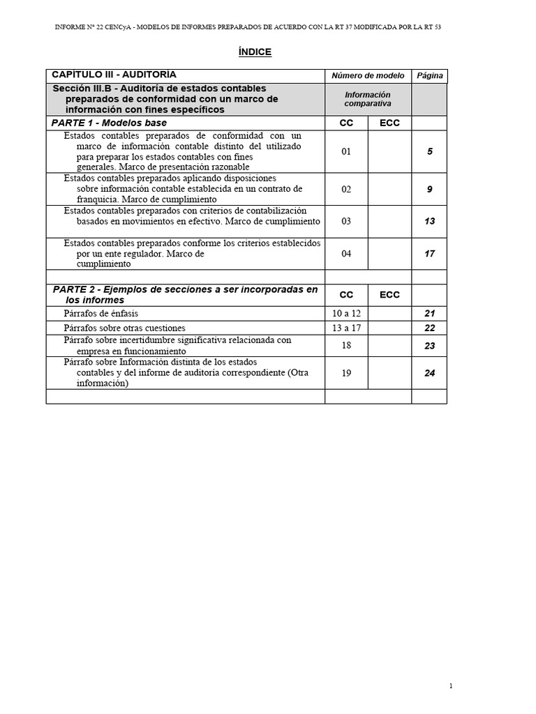 Modelos de Informes RT 37 y RT 53 | PDF | Auditoría | Preocupación continua