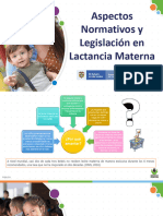 Aspectos Normativos y Legislación  en Lactancia Materna