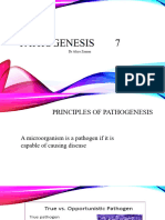 Pathogenesis        7