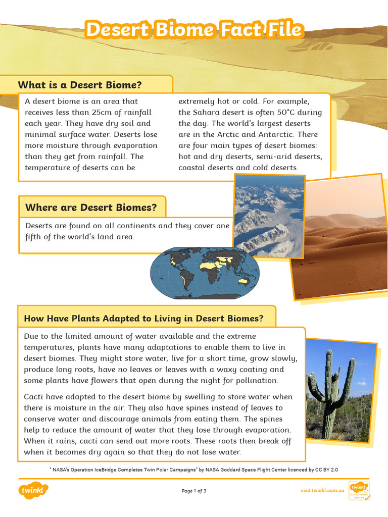Desert Biome Fact File | PDF | Desert | Rain