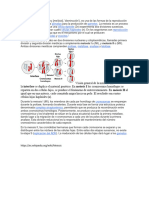 Meiosisinfo