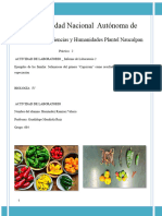 Práctica 2 Biología 4 (Chiles)