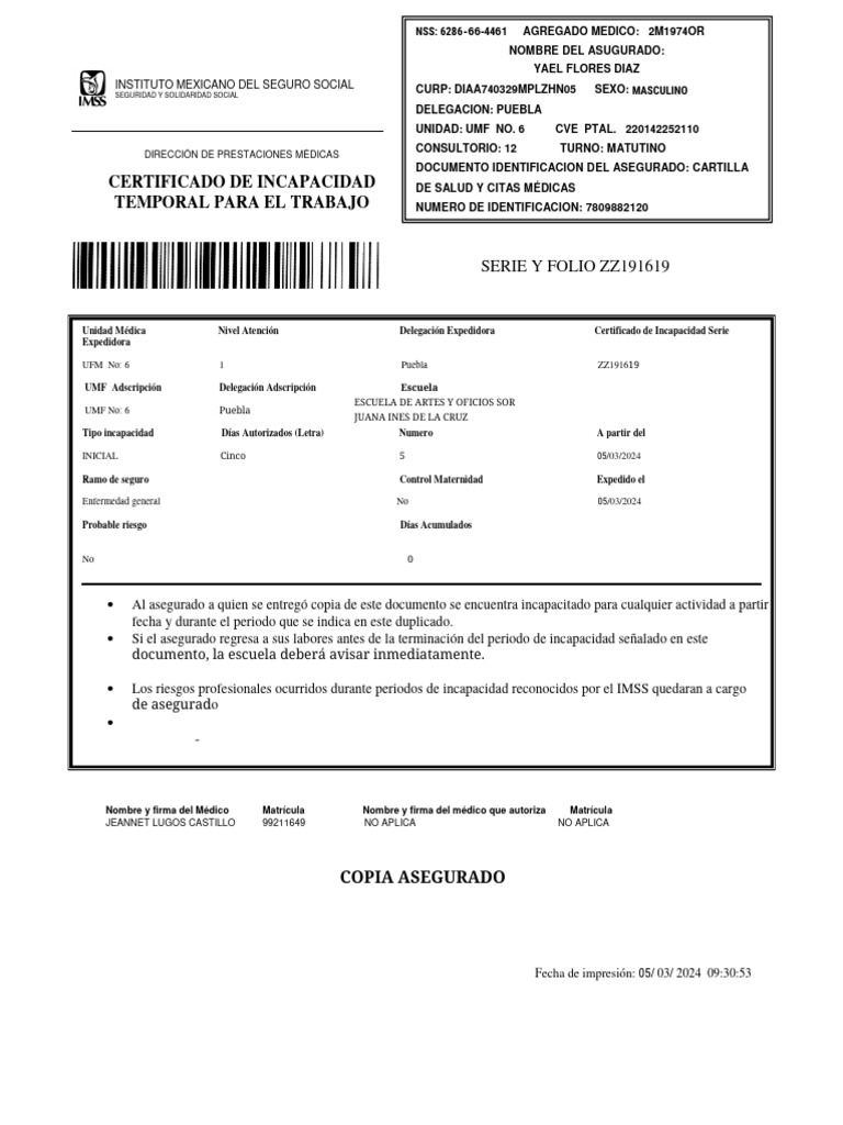 Certificado de Incapacidad Temporal | PDF | Programas sociales ...