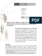 Denuncia Ante Juzgado Violencia Lima Norte