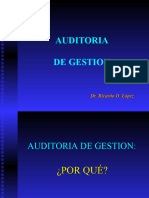 Auditoria de Gestion