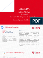 Agenda Semanal 06 - PFA