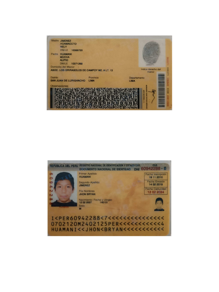 Dni | PDF