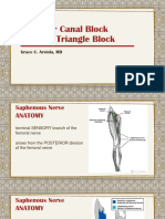 Adductor Canal + Femoral Triangle Block