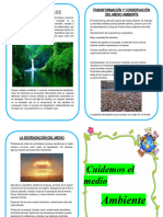 Diptico Del Medio Ambiente