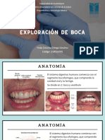 Exploración de Boca