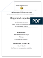 KOUNA NDZANA ORTEGA Rapport d'Expertise