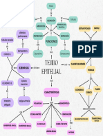 Mapa Tejido Epitelial