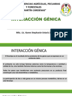 Interacción Génica - II.23