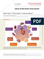 Endocrine Functions of The Heart From Bench To Bedside