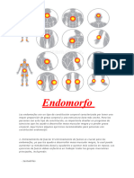 Endomorfo