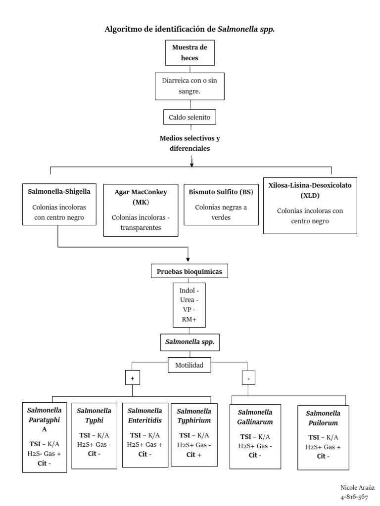 Identificación de Salmonella spp. en heces | PDF