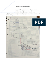 Practica Dirigida