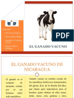 Ganado Vacuno