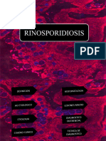 RINOSPORIDIOSIS