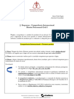 Esquema Competencia Internacional