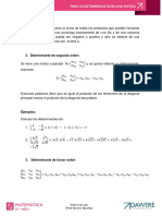 Tema 13_ Determinante de Una Matriz - ALGEBRA (1)