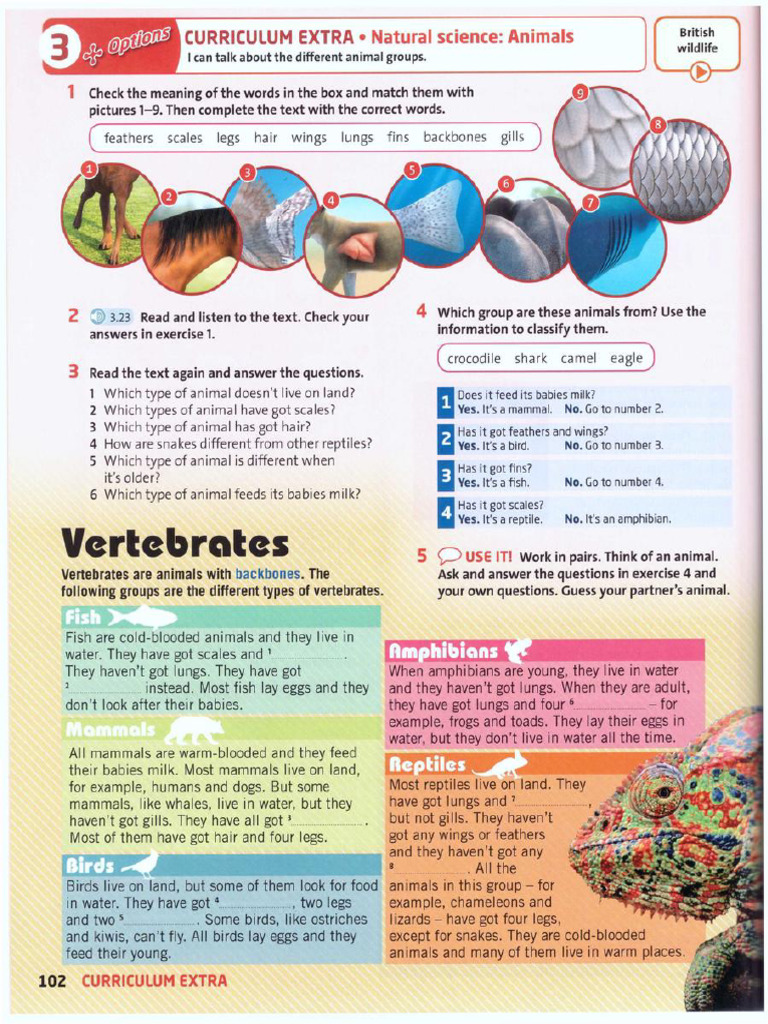 Extra 2 | PDF