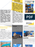 Folleto Brochure de Servicios Empresa Profesional Amarillo (Trípticos)