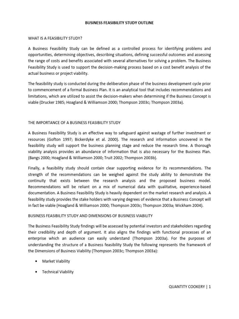 Business Feasibility Study Guide | PDF | Feasibility Study | Economies