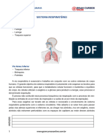 Resumo - 2143530 Fernanda Barboza - 92695815 Anatomia e Fisiologia Humanas PC RJ Aula 15 Sistema Respiratorio