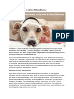 Reducing Creatinine in Canine Kidney Disease