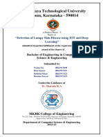 LSD Project Report Phase 2