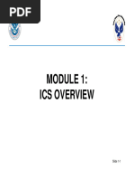 Ics Overview