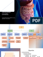 Síndrome de Absorción Intestinal Deficiente (SAID)