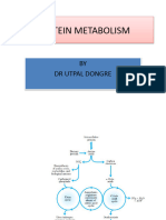 PROTEIN METABOLISM