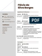 CV Flávio Da Silva Borges1
