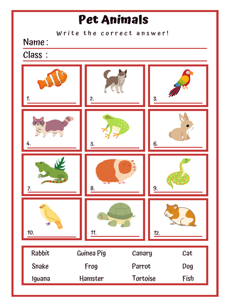 9 Animal | PDF