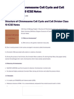 Structure of Chromosome Cell Cycle and Cell Division Class 10 ICSE Notes