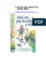 What Can You Do With A Rock Pat Zietlow Miller All Chapter