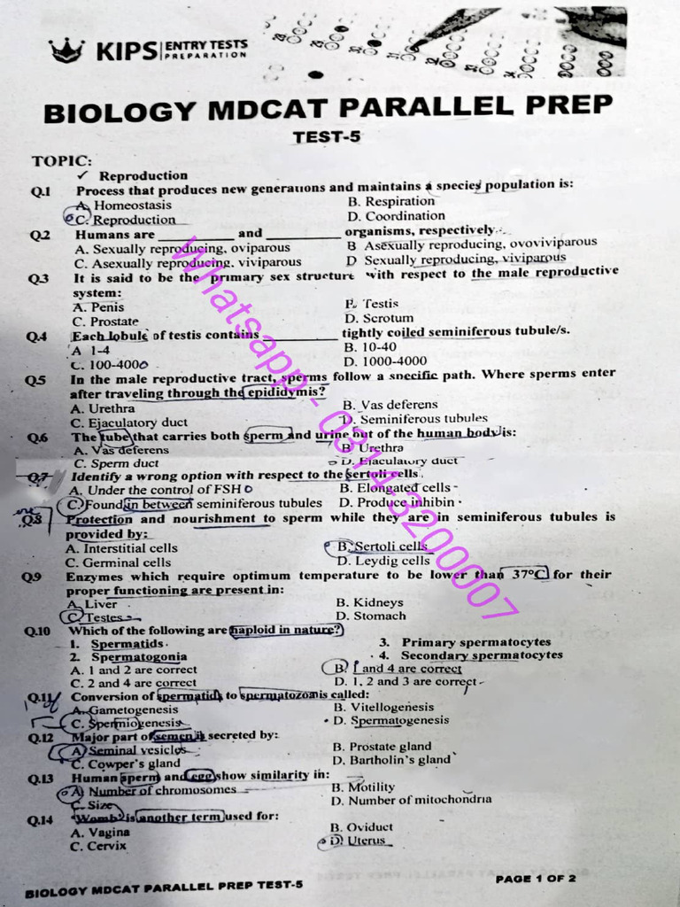 KIPS Parallel 2024 Bio 5 + Key | PDF