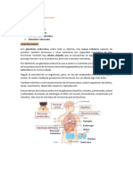 wuolah-free-TEMA-12-SISTEMA-ENDOCRINO-gulag-free