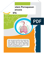 Struktur Dan Fungsi Sistem Pernapasan Manusia