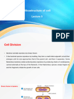 Ultrastructre of cells lect 5 copy