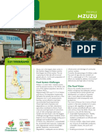 Food Cities 2022 - Mzuzu