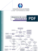 Diagrama de Conceitos_Monera